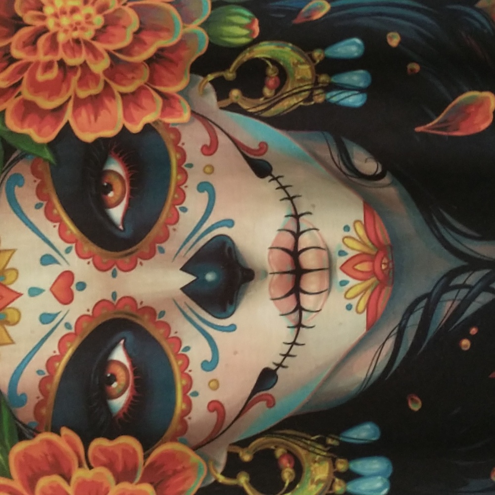 Worn Once! Halloween/Day Of The Dead Sweatshirt, Size M - Picture 2 of 4